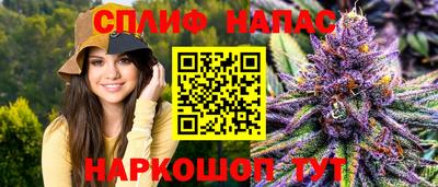 МДПВ Можга
