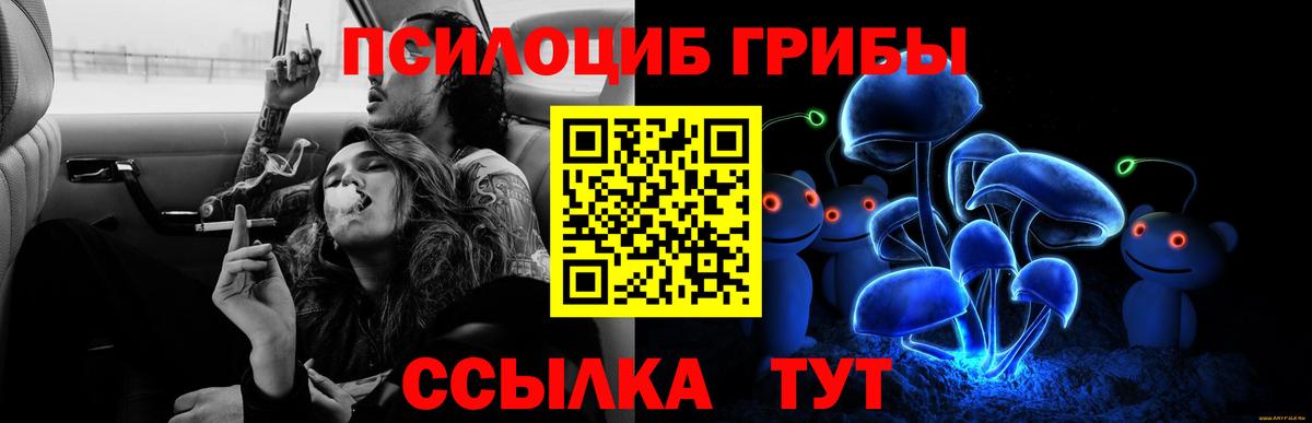Углич  Псилоцибиновые грибы мухоморы  Вход с VPN 